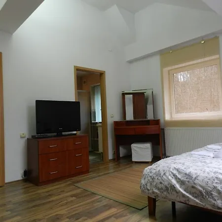Проживання в сім'ї Union House Брашов